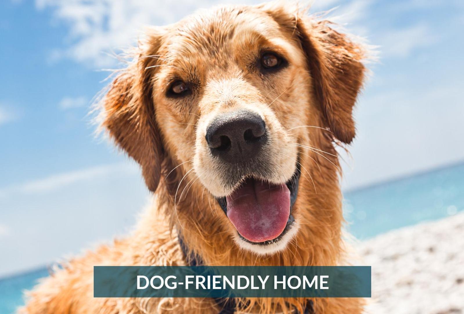 4011 The Dogs House 2 Min Walk To Beach Китти-Хок Экстерьер фото